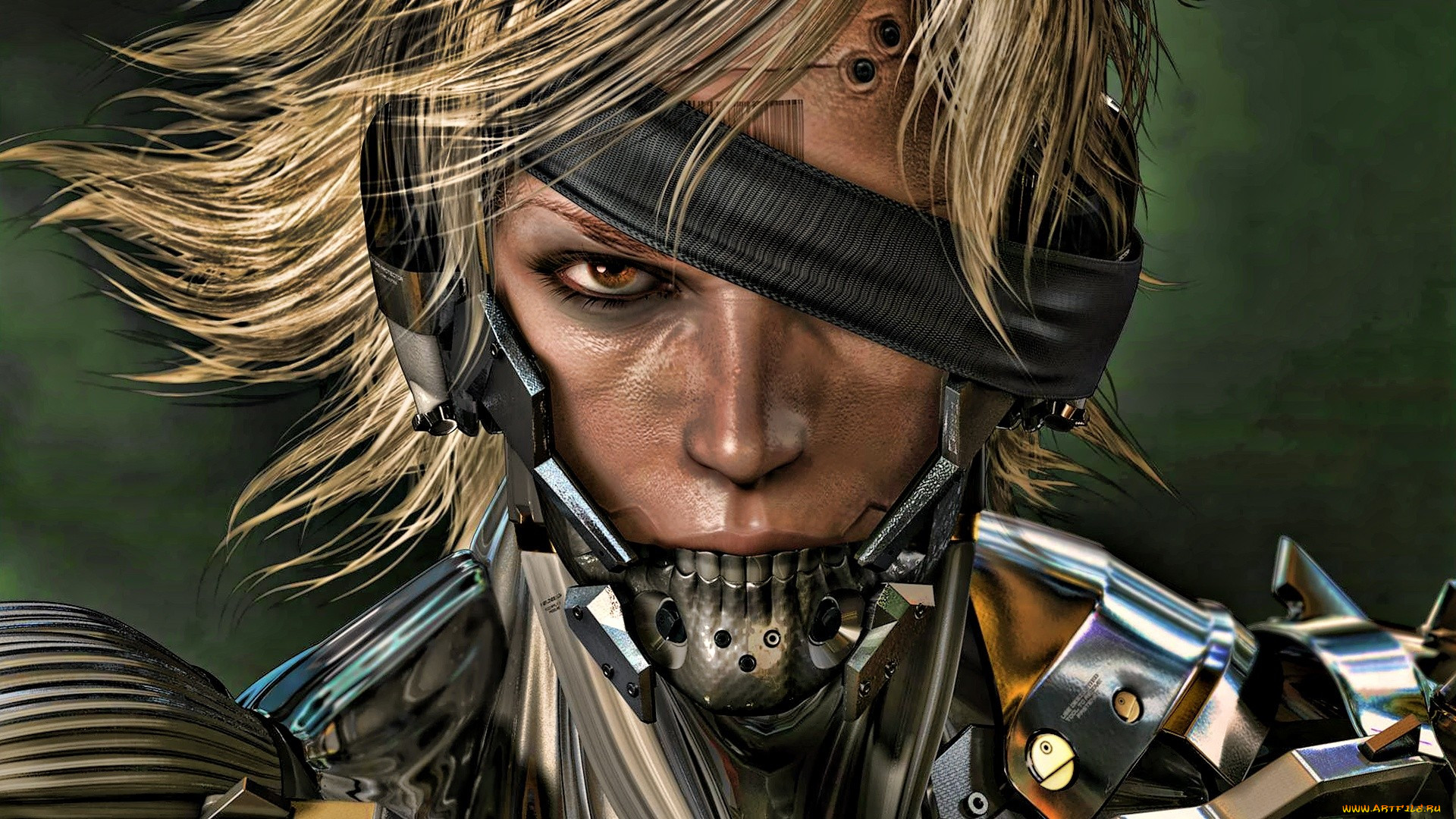 , , metal, gear, rising, revengeance, 